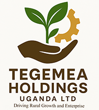 Tegemea Holdings Ltd